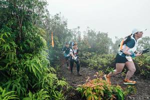 BIB: 
                            <button type="button" onclick="openModal(26272459)" class="btn btn-primary btn-sm float-right btn-popup" data-toggle="modal" data-target=".modal-high-quality">
                        <i class="fas fa-shopping-cart"></i> Add to Cart
                    </button>
                                            <button type="button" onclick="isThisMe(26272459, true)" class="btn btn-success btn-sm float-right btn-popup btn-isme hidden" data-toggle="tooltip" data-placement="bottom" title="นี่คือรูปของคุณใช่ไหม คลิกที่นี่เพื่อเอาเข้าอัลบั้ม">
                        <i class="fas fa-plus"></i> Add to album
                    </button>
                    <button type="button" onclick="isThisMe(26272459, false)" class="btn btn-warning btn-sm float-right btn-popup btn-isnotme hidden">
                        <i class="fas fa-ban"></i> Remove from album
                    </button>